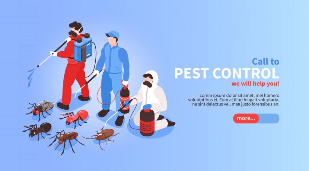 High-Conversion Website Design: Boost Your Pest Control Business